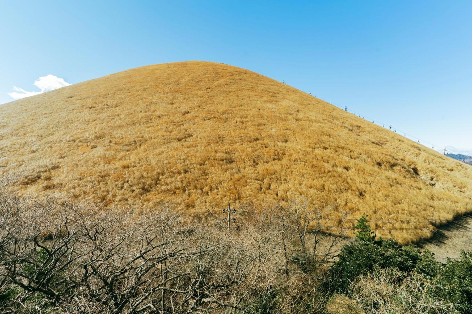 Villa スマートステイ大室山2合目 Futo Esterno foto